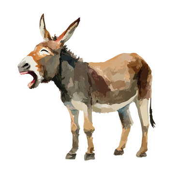 Expressive Braying Donkey Vector Illustration.