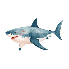 Fototapeta premium Fierce Great White Shark Vector Illustration.