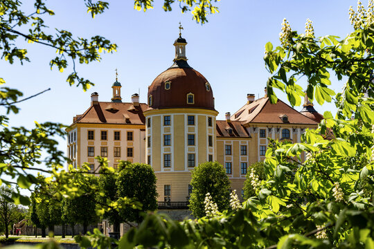 Schlo&szlig; Moritzburg