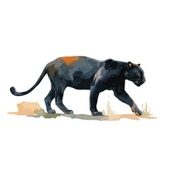 Majestic Black Panther Vector Illustration Wild Animal.