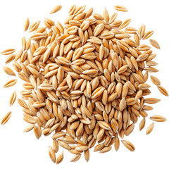 Pile of wheat grains isolated on transparent background. Natural cereal crop for agriculture, baking and healthy food concepts.