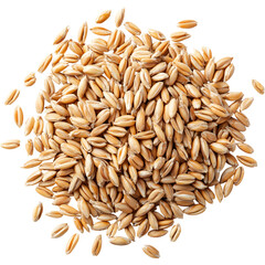 Pile of wheat grains isolated on transparent background. Natural cereal crop for agriculture, baking and healthy food concepts.