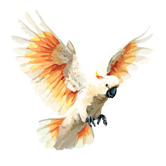 Majestic Flying Cockatoo Bird Vector Illustration with Spread Wings.