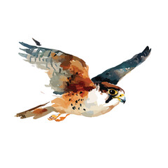 Majestic Flying Falcon Watercolor Illustration Dynamic Bird of Prey Art.
