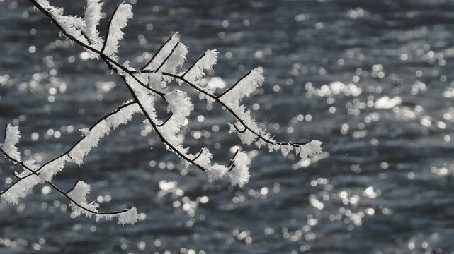 霧氷