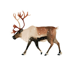 Majestic Reindeer Watercolor Illustration for Festive Winter Designs.