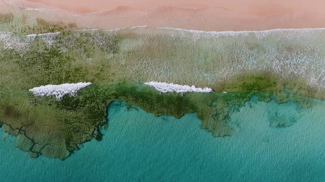 Aerial view of Fuerteventura, pink sand meets turquoise shallows and dark reef. Foamy wave lines roll over rock platforms and tide pools in crisp daylight.
