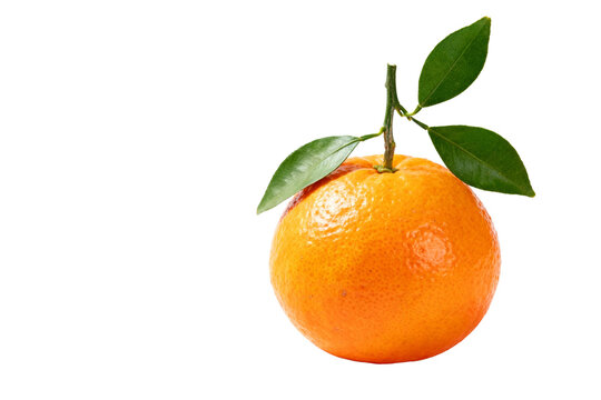Fresh Orange with Green Leaves on White Background