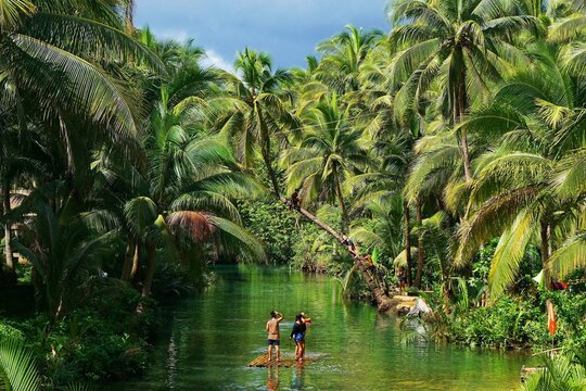 Siargao, Philippines: Tourists enjoying the swing on Maasin river 