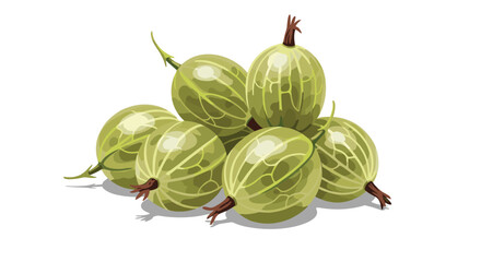 A pile of fresh green gooseberries with visible veins and small stems, illustrated in a detailed, realistic style on a white background.