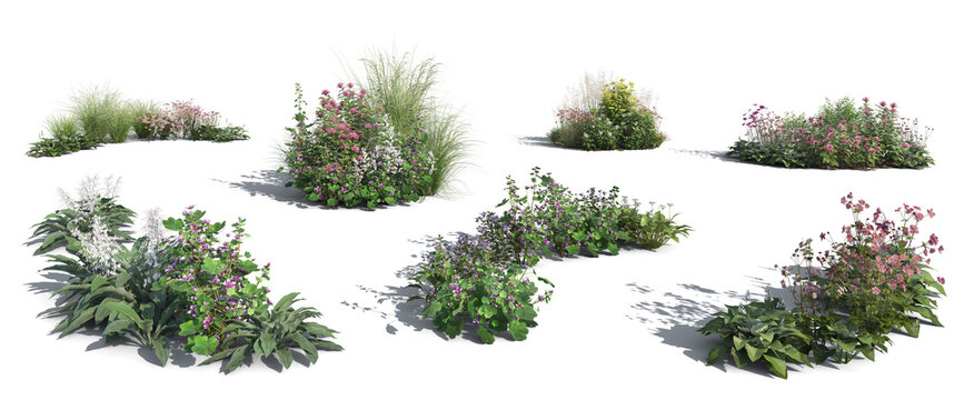 Different rendered flowerbeds and groups of plants, isolated on white and transparent background