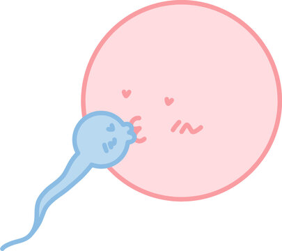 수정