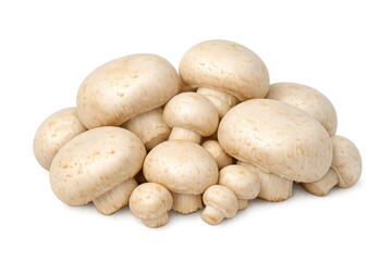 Fototapeta premium White button mushrooms agaricus bisporus pile, fresh organic edible fungus on transparent background, raw autumn harvest ingredient