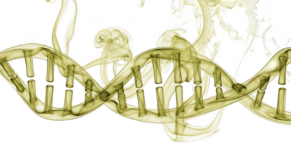 Yellow smoke forming a D N A double helix structure against a background isolated on a transparent background