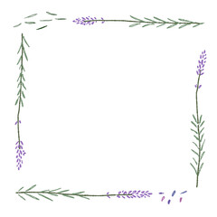 Obraz premium ラベンダーの手書きカラーイラスト素材