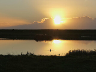 Nordsee in Schleswig-- Holstein