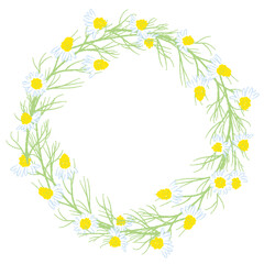 Fototapeta premium カモミールのリース