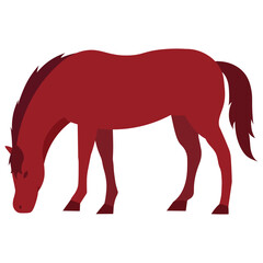 Obraz premium Horse Grazing Head Down Natural Pose Vector