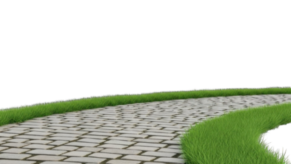 Curving Stone Pathway Lined with Green Grass