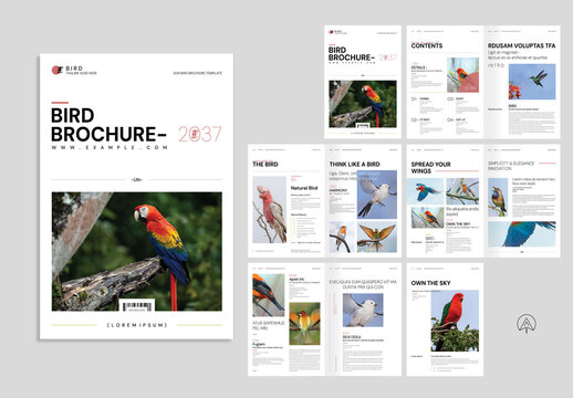 Birds Magazine Design Layout