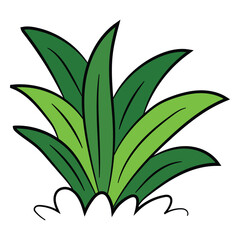 Green grass on a white background