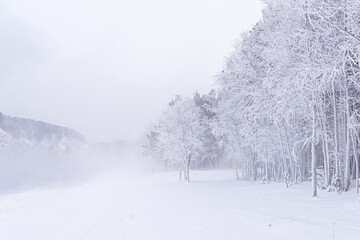 Fototapeta premium Snow-covered landscape with trees and fog in a quiet winter setting during early morning hours. High quality photo