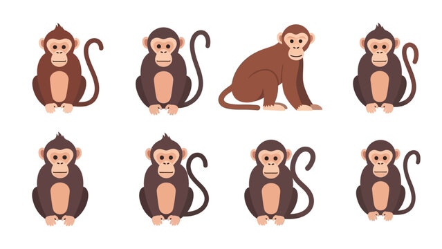 Collection of cute cartoon chimpanzee characters displaying different poses including sitting and standing postures for children's designs