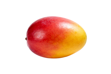 Ripe Mango Fruit with Red and Yellow Skin