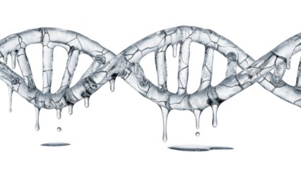 Cracked ice D N A helix with melting drips and droplets isolated on a transparent background frozen