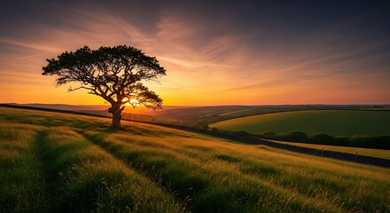 Solitary tree silhouetted against a golden sunset over rolling hills.