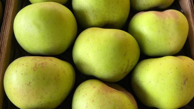 Rennet apples neatly arranged in a cardboard crate, tracking shot on gray apple