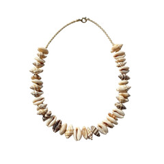 Obraz premium Handmade seashell necklace with natural beige and brown patterned shells isolated on a transparent background