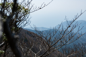 Climbing Mount Amagi, Shizuoka, Japan