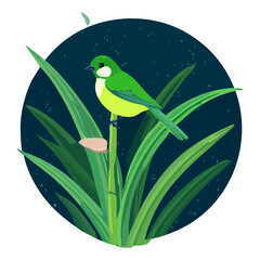 Small green bird in a circular dark blue frame with tall grass and reeds at night
