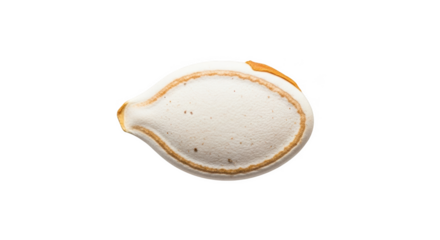Single white pumpkin seed with brown outline and orange tip on background isolated on a transparent background
