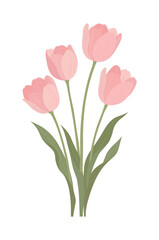 Fototapeta premium Beautiful illustration of a pink tulip bouquet with soft green leaves. Elegant floral vector art perfect for Mother's Day, spring-themed greetings, wedding invitations, and home decor designs.