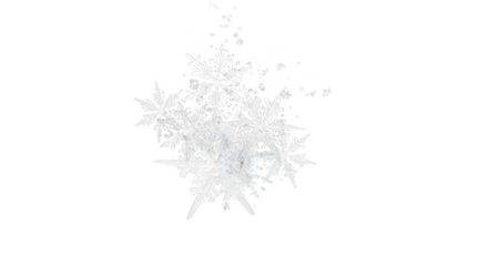 Cluster of intricate white snowflakes with smaller ice crystals falling isolated on a transparent background