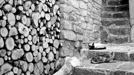 Italia in bianco e nero.Il borgo di Castelmezzano sospeso a mezza costa nello spettacolare scenario...