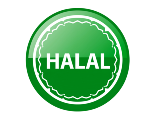 Green halal symbol icon isolated on transparent background isolated on transparent background