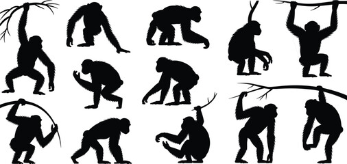 Monkey silhouettes, climbing, hanging, sitting, walking, black vector primates, jungle animals, wildlife poses, isolated shapes, educational, playful, design elements © Montaha Creatives