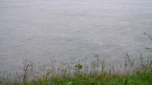 grass in the fog, Outdoor Camping in Tropical Mountain Nature, Java, Indonesia, South East Asia