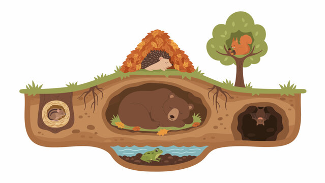 Underground animal burrows crosssection with various creatures.