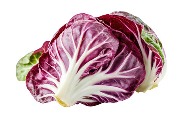 Fototapeta premium A vibrant head of radicchio isolated on transparent background