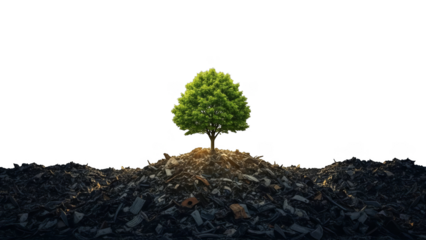 Vibrant Green Tree Growing From Scrap Metal Pile On Black Background