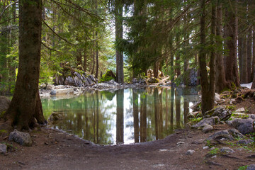 Lake in the Austrian Alps of the Dachstein region (Styria in Austria)