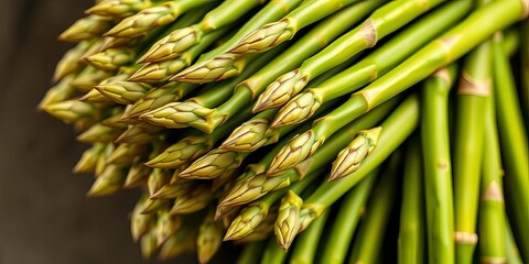 Fresh green asparagus spears, tightly bundled, growth, food