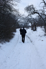 Nordic walking in winter forest. Man with trekking poles.