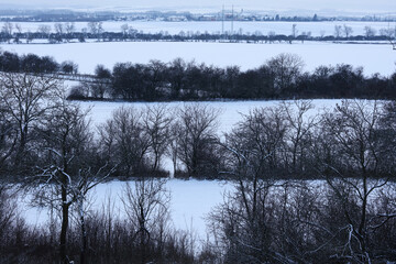 winter landscape with trees covered with snow in the field