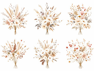 Set Watercolor cottonweed