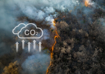 Wildfires release carbon dioxide (CO2) emissions and other greenhouse gases (GHG) that contribute to climate change.